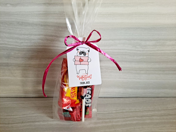 Valentine's Day School Class Candy Party Favors, Set of 12 - The Lovely Gift Co
