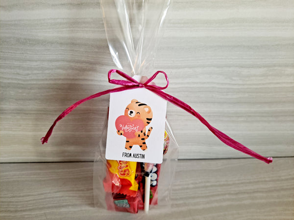 Valentine's Day School Class Candy Party Favors, Set of 12 - The Lovely Gift Co