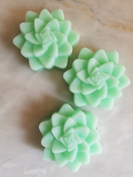 Bulk Pack DIY Succulent Cactus Bridal Soap Favors Set of 12 - The Lovely Gift Co
