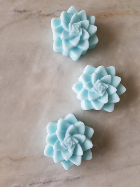 Bulk Pack DIY Succulent Cactus Bridal Soap Favors Set of 12 - The Lovely Gift Co