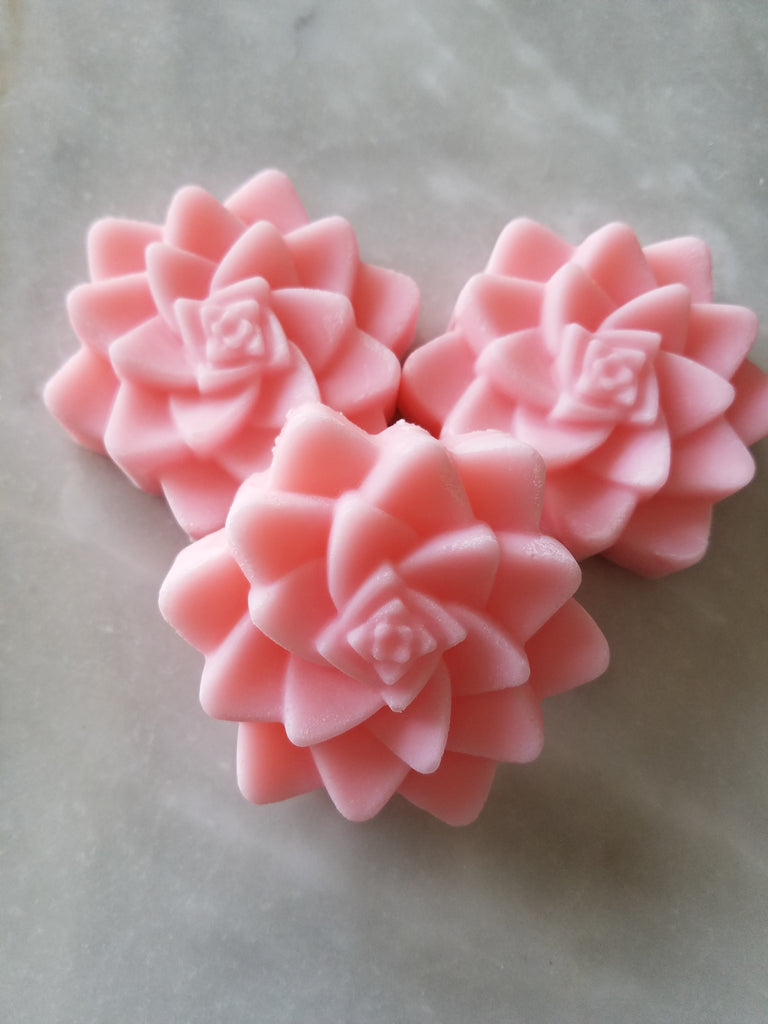 Bulk Pack DIY Succulent Cactus Bridal Soap Favors Set of 12 - The Lovely Gift Co
