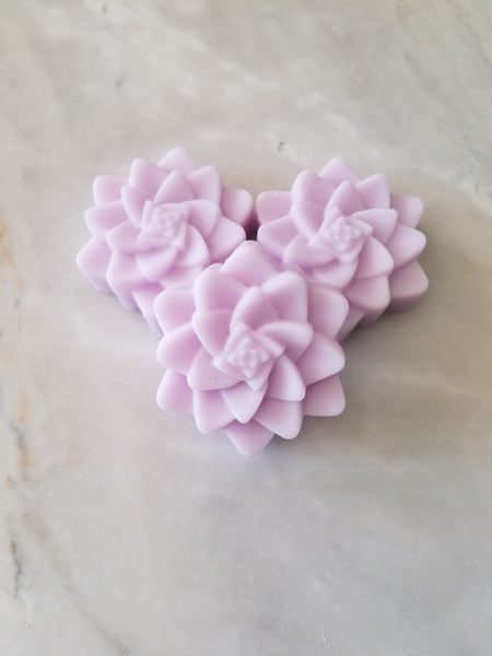 Bulk Pack DIY Succulent Cactus Bridal Soap Favors Set of 12 - The Lovely Gift Co