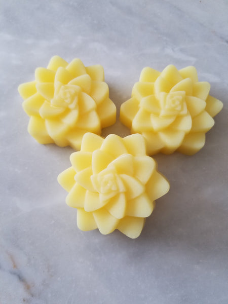 Bulk Pack DIY Succulent Cactus Bridal Soap Favors Set of 12 - The Lovely Gift Co