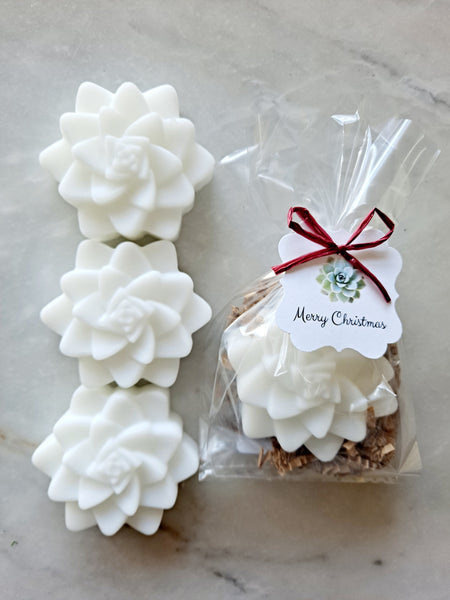 Succulent Soap Holiday Stocking Stuffers Gifts, Set of 12 - The Lovely Gift Co