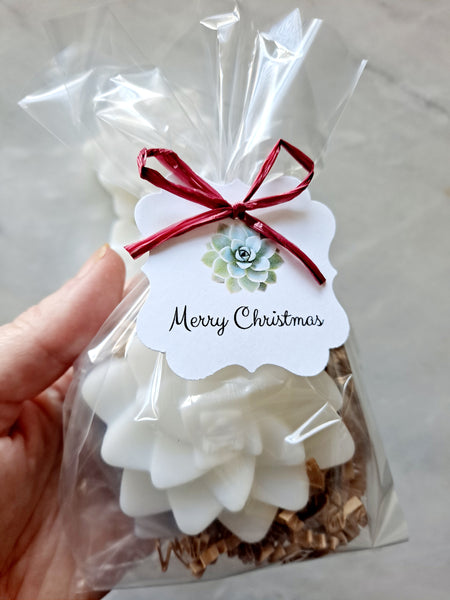 Succulent Soap Holiday Stocking Stuffers Gifts, Set of 12 - The Lovely Gift Co