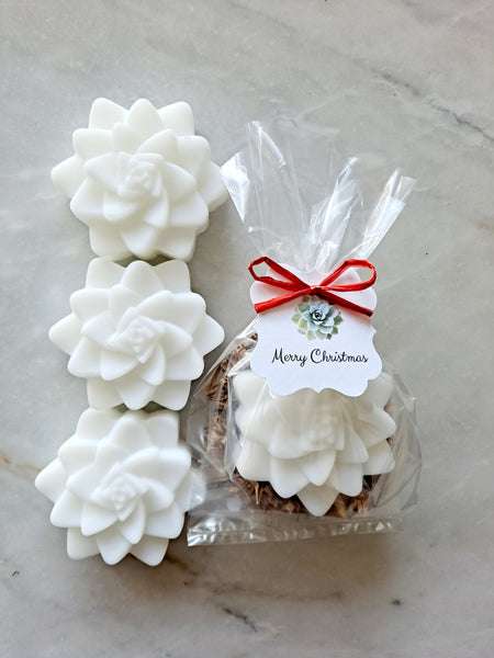 Succulent Soap Holiday Stocking Stuffers Gifts, Set of 12 - The Lovely Gift Co