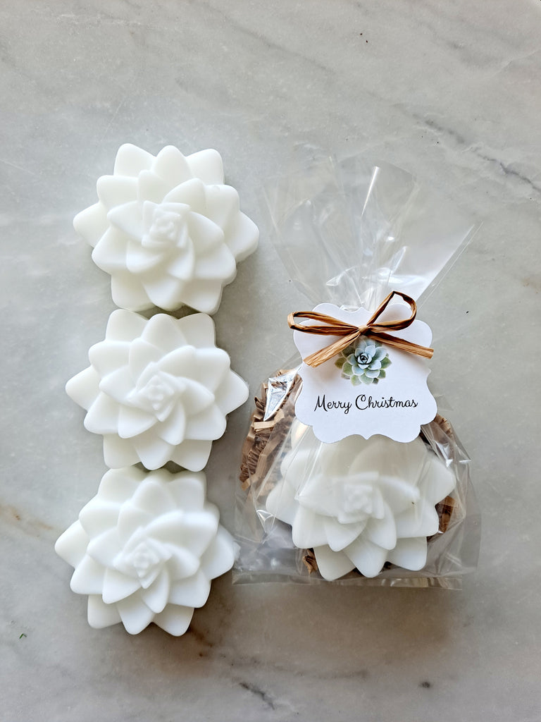 Succulent Soap Holiday Stocking Stuffers Gifts, Set of 12 - The Lovely Gift Co